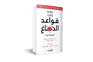 قواعد الدماغ